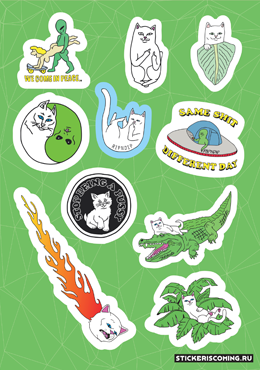 RipNDip