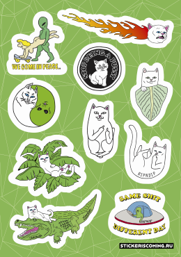 RIPNDIP