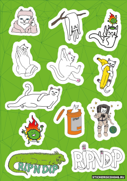 RIPNDIP-2